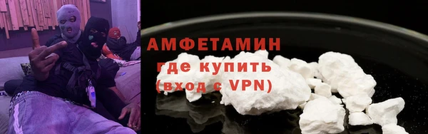 крисы Новозыбков