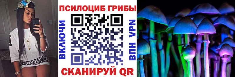 Псилоцибиновые грибы мицелий Мезень